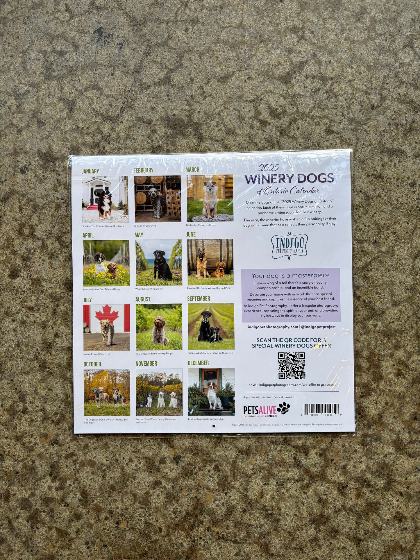 2025 Winery Dogs of Ontario Calendar - Palatine Hills Estate Winery