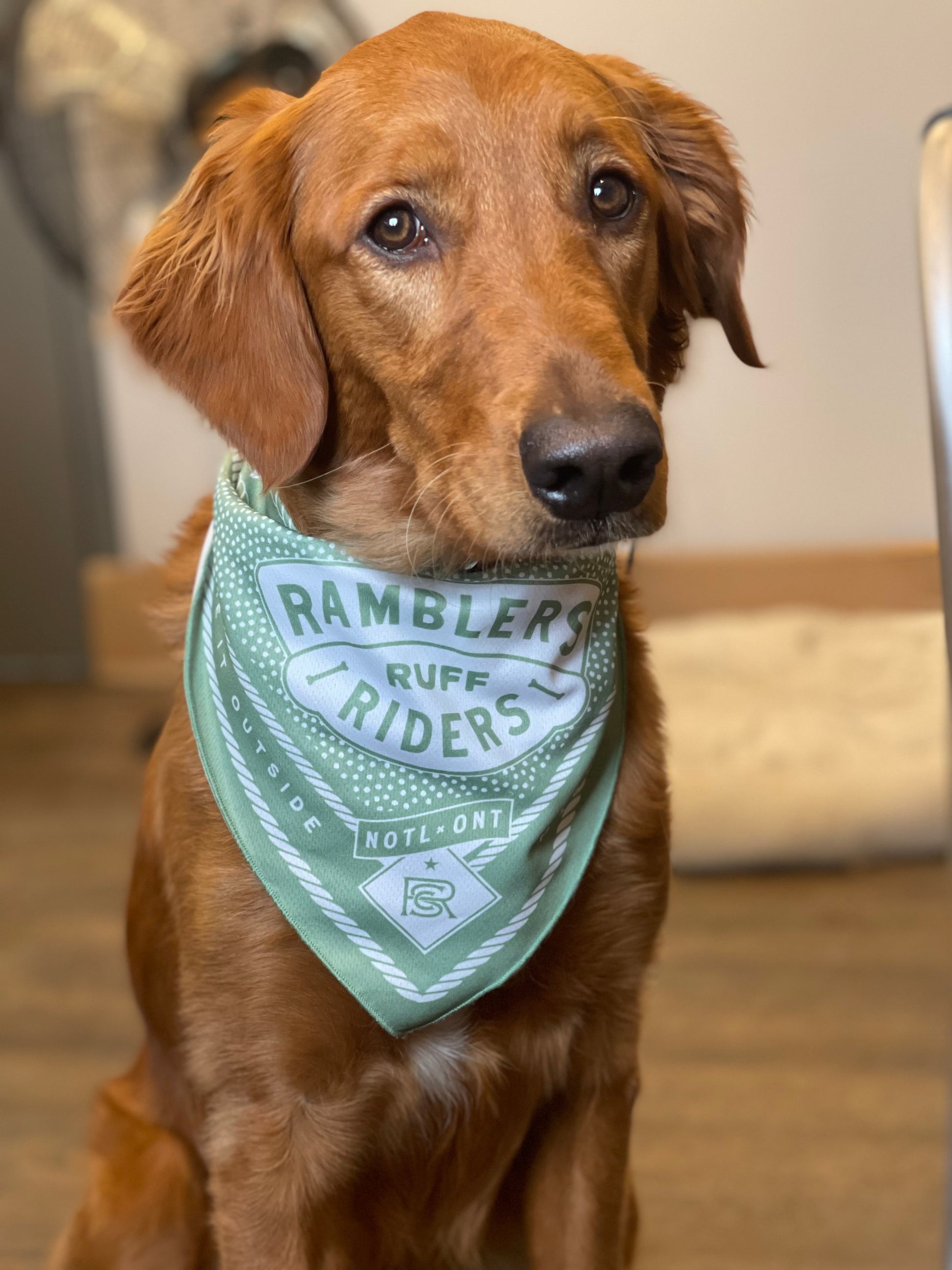 Ramblers Ruff Riders Dog Bandana - Palatine Hills Estate Winery